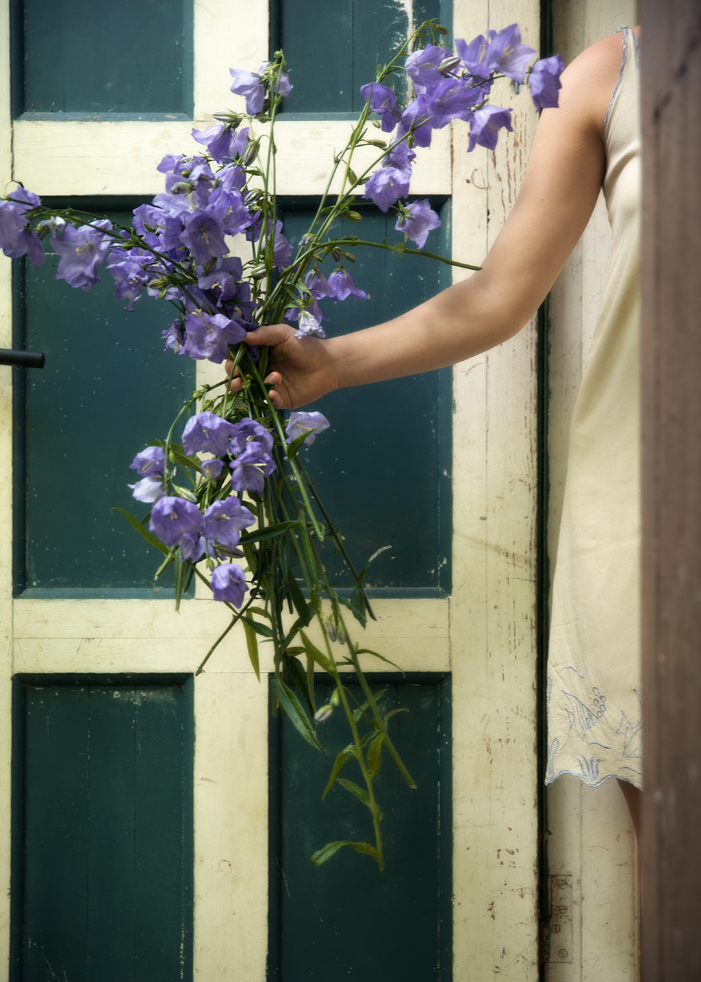 Door of Bells Photo print