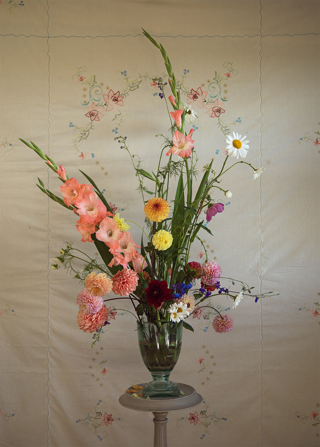 Gladiolus Photo print