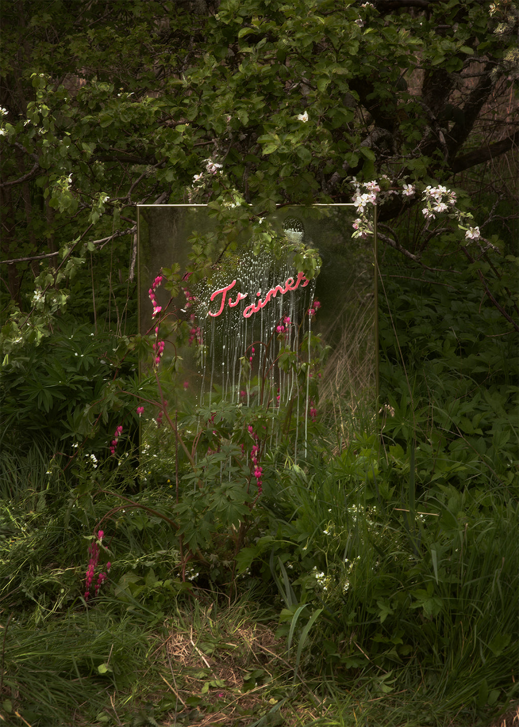 Tu aimes Photo print